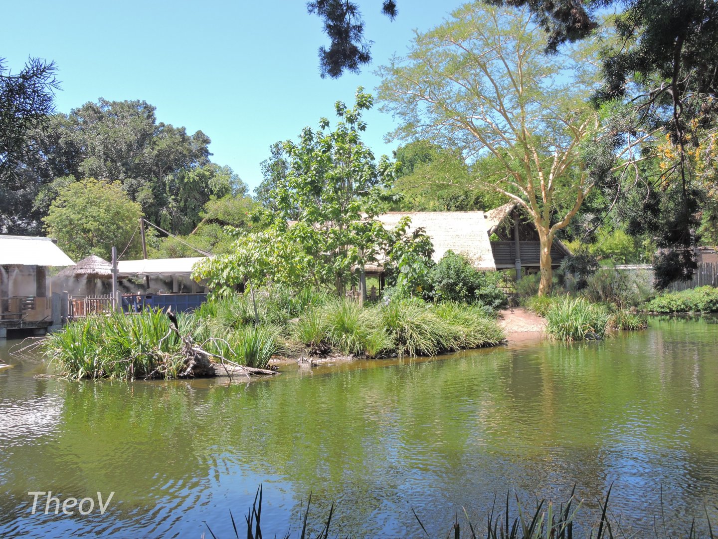 Shoebill island [2015]