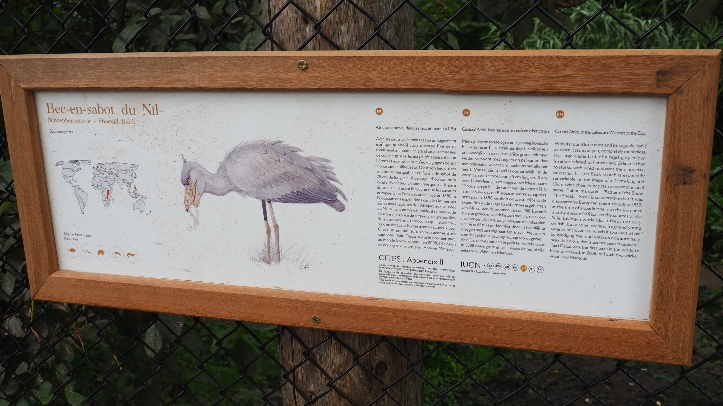 Shoebill signage, 2019-10-04