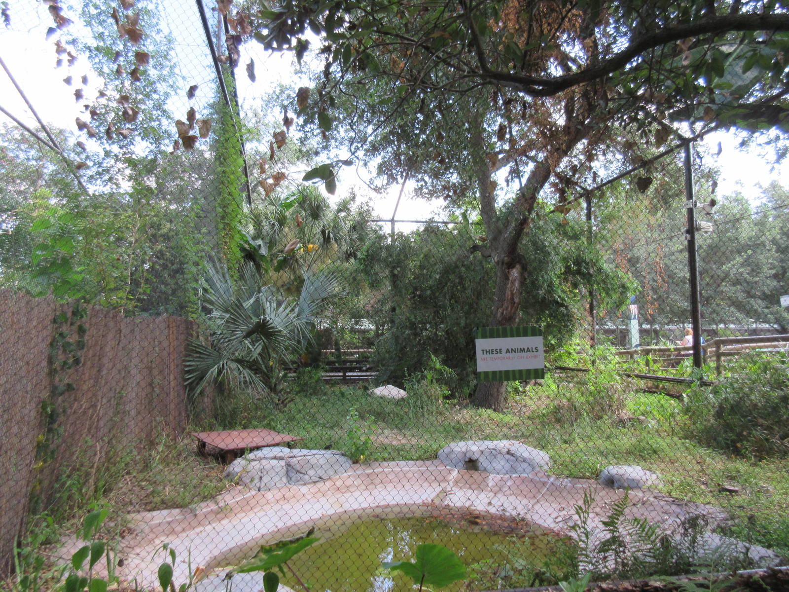 Shoebill Stork Aviary - divided into two