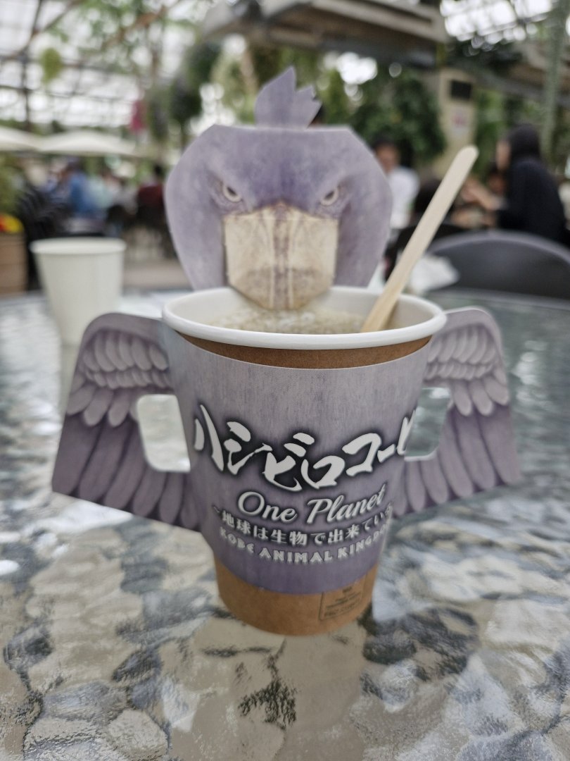 Shoebill stork cup surround