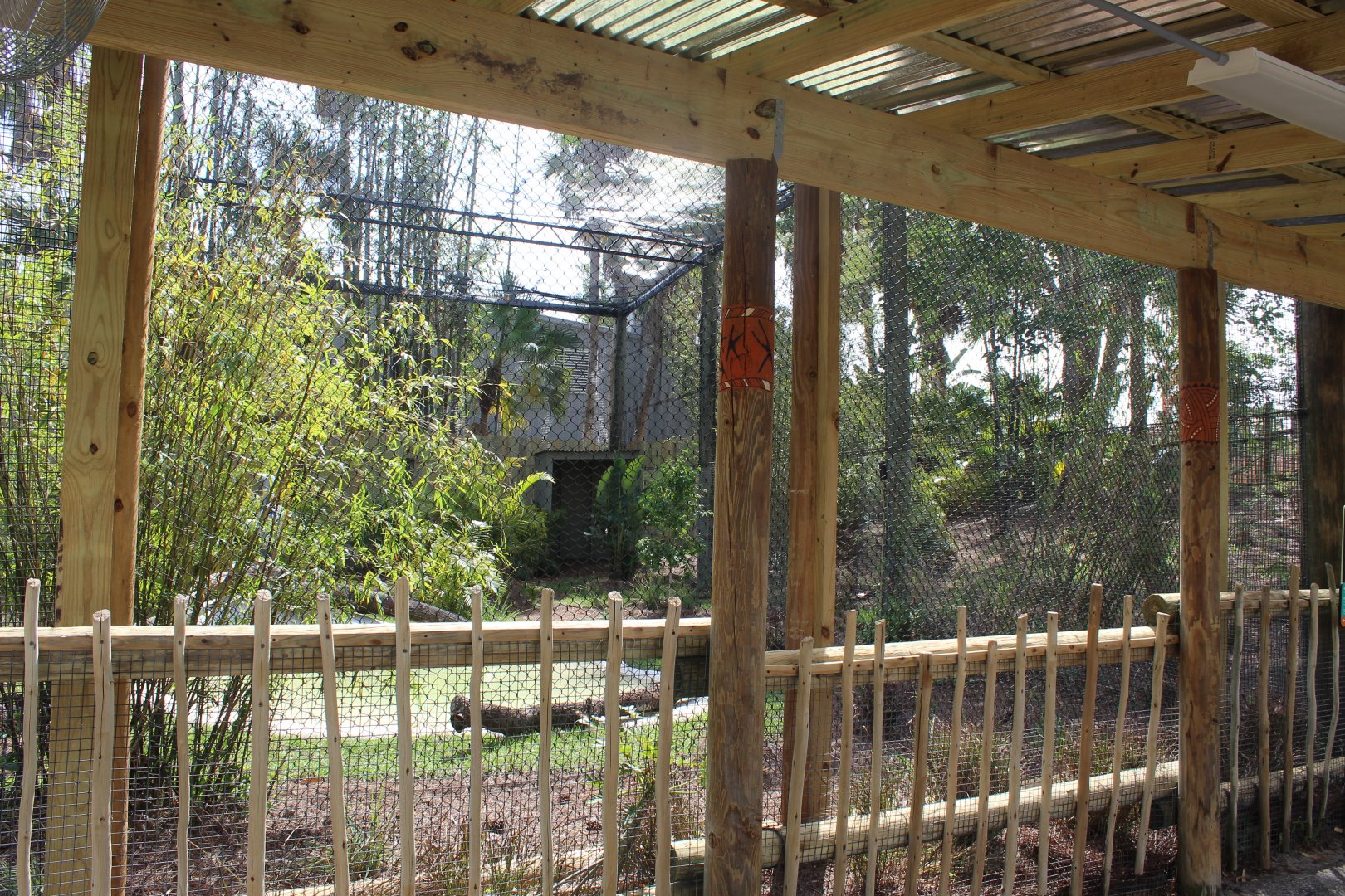 Shoebill Stork Exhibit (New in 2021)