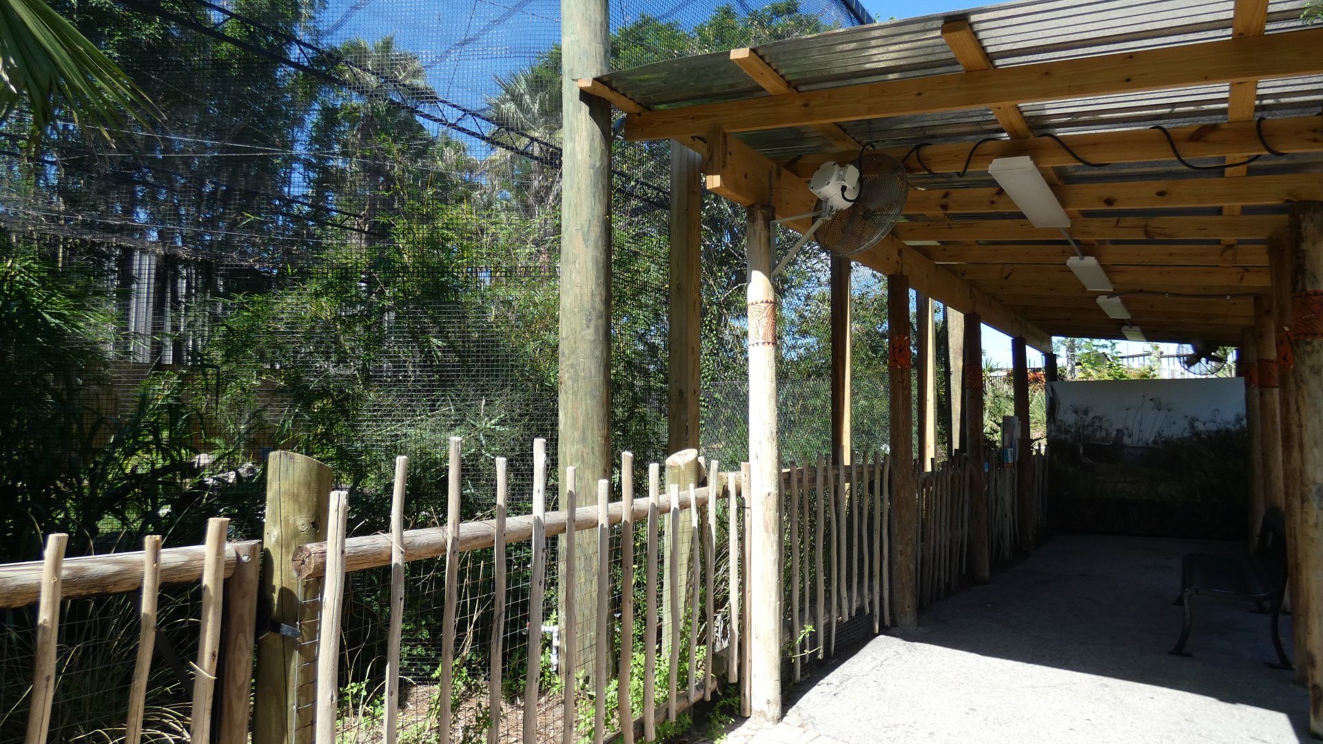 Shoebill Stork Exhibit, Safari Africa & The Ituri Forest - Aug. 2021