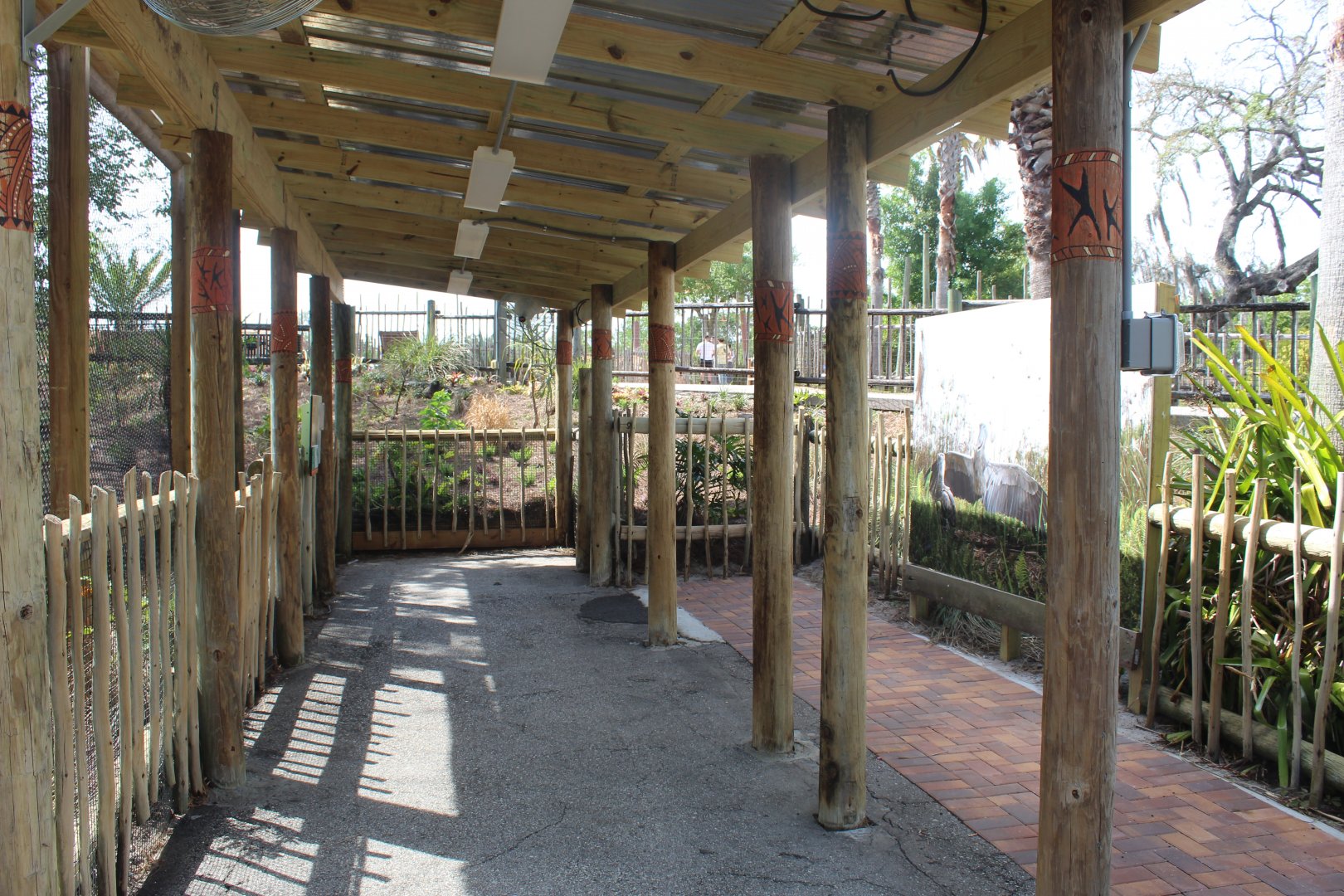 Shoebill Stork Exhibit Viewing Area (New in 2021)