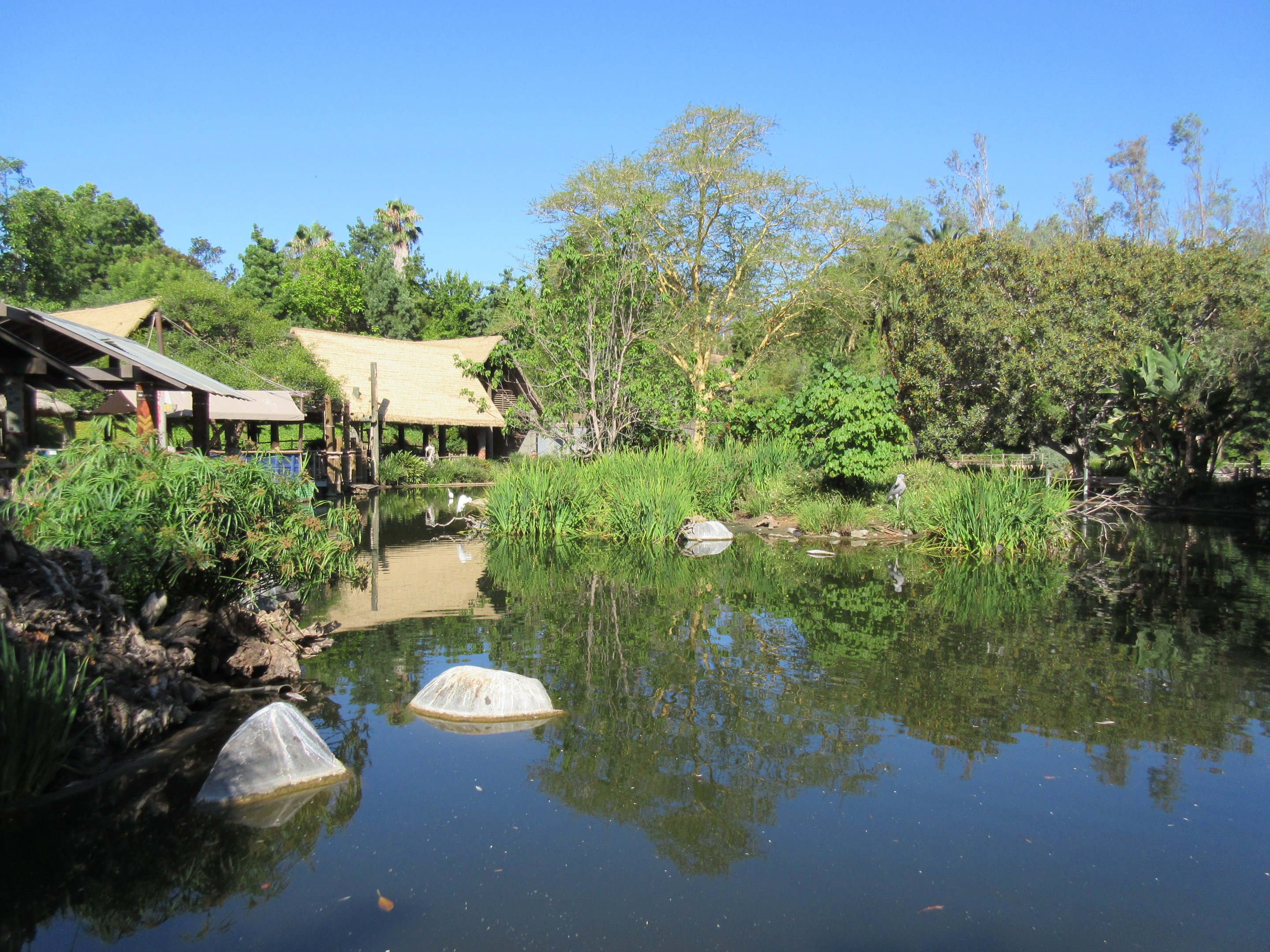 Shoebill Stork Island (see the stork?)