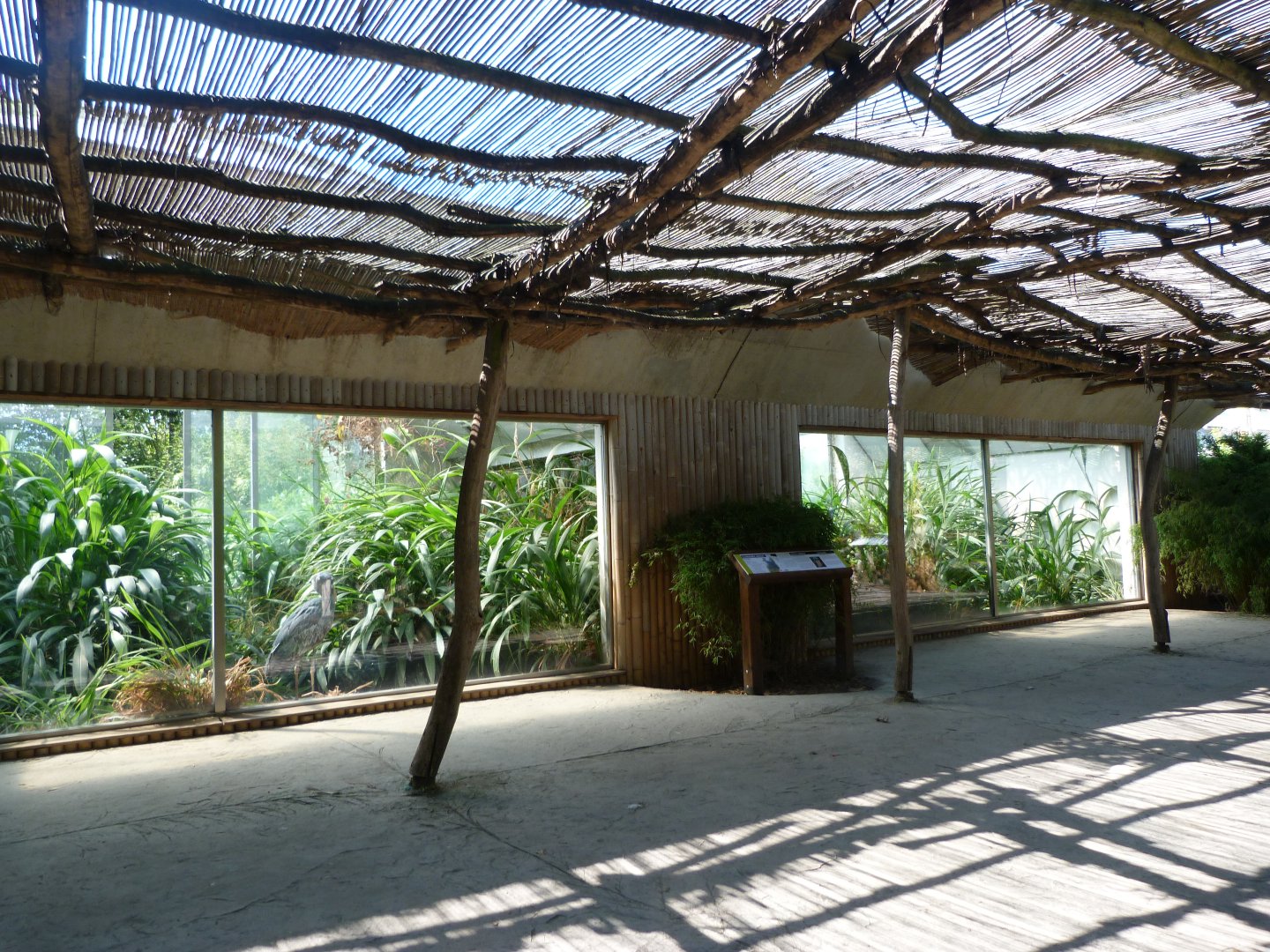 Shoebill viewing area -Zoo Praha (2025)