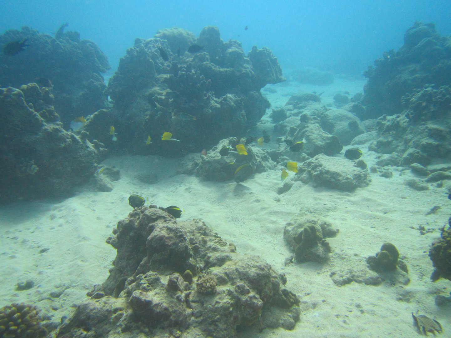 Shooting into the sun