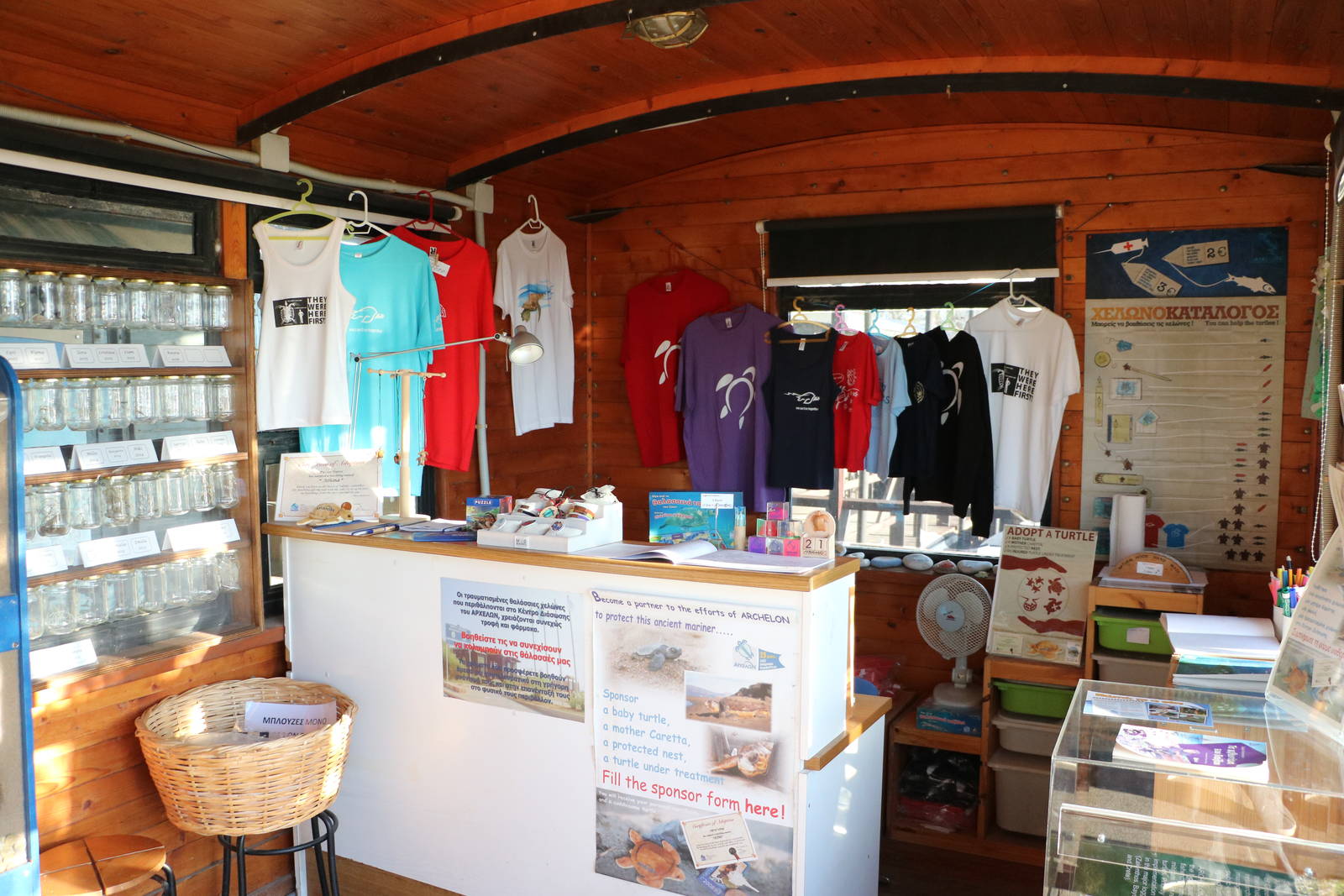 Shop/ ticket desk- Sea Turtle Rescue Centre, February 2016