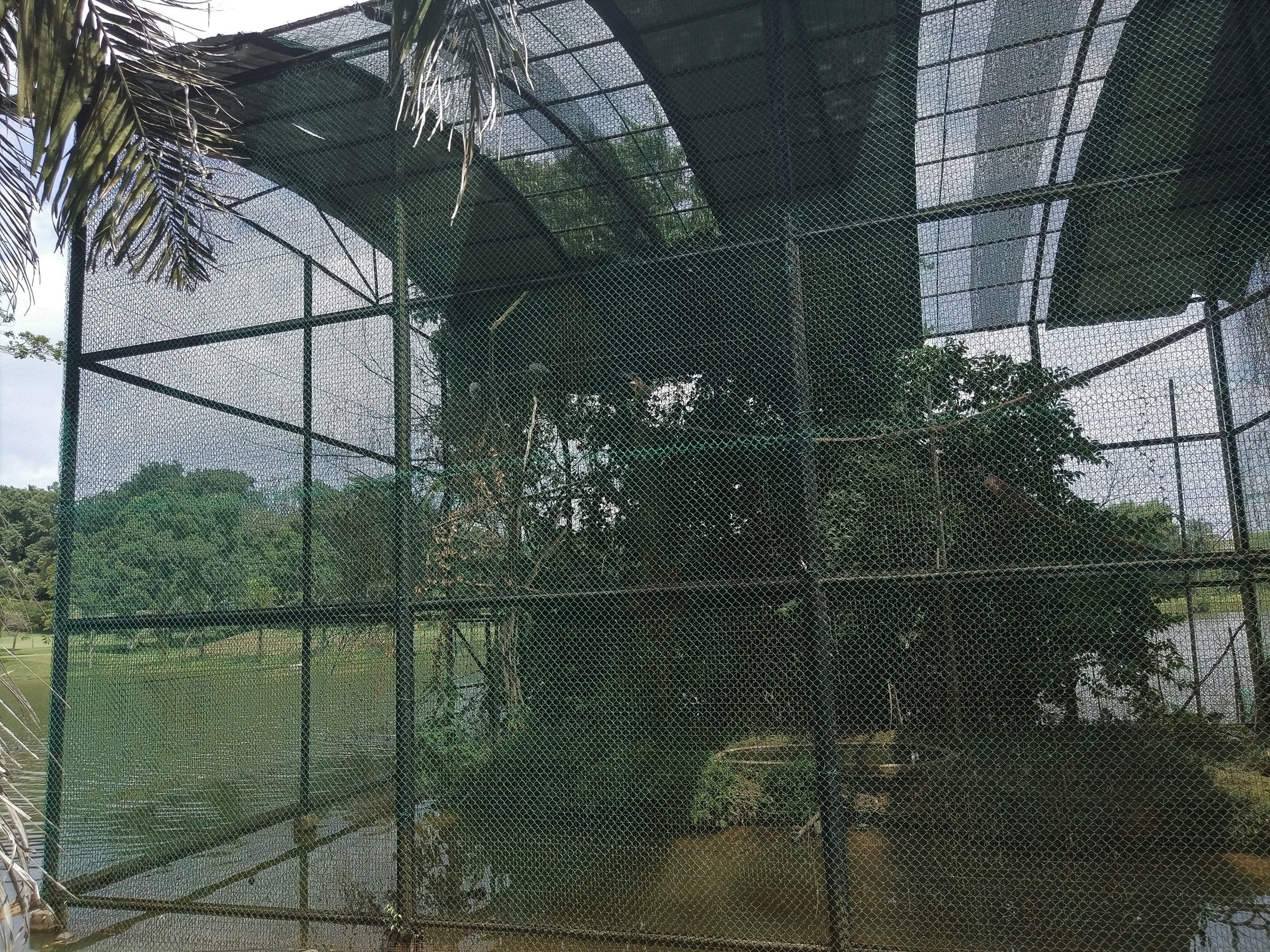 Shore Aviary