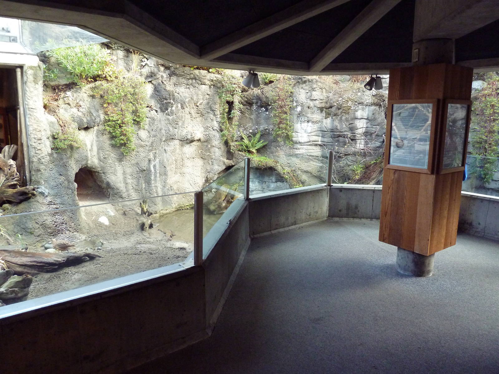 Shore Birds Exhibit (3 Species)