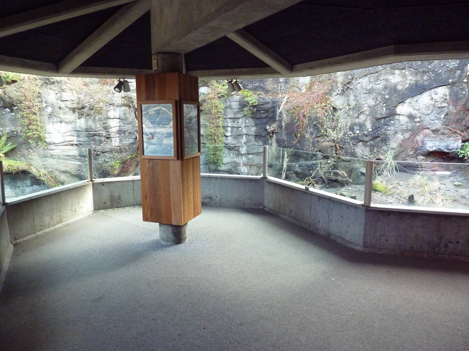 Shore Birds Exhibit (3 Species)