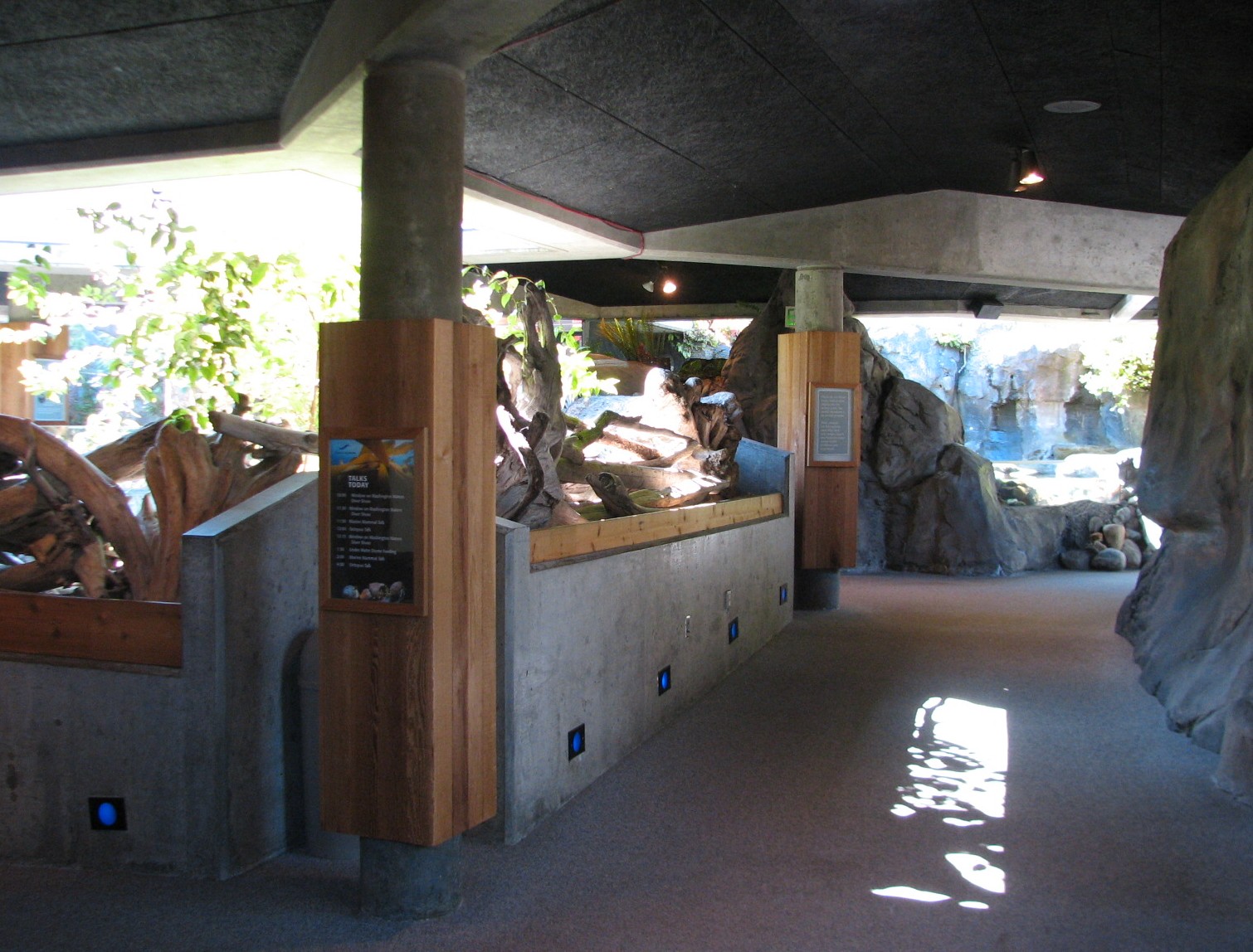 Shore Birds Exhibit