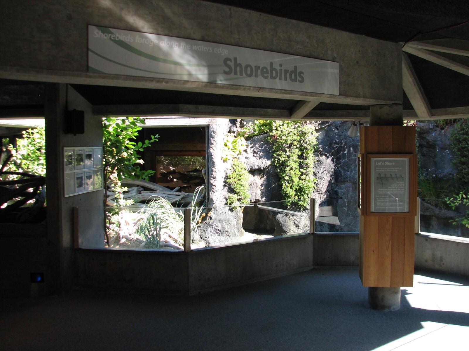 Shore Birds Exhibit