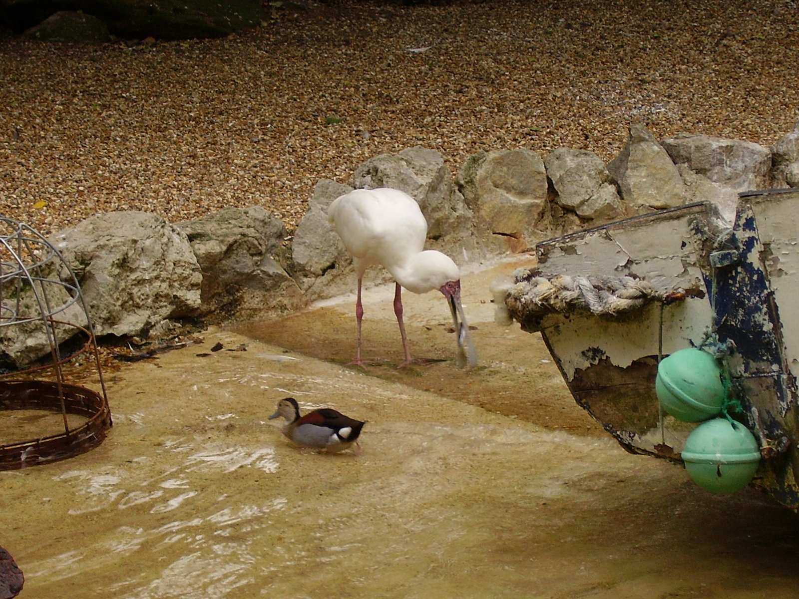 Shore Exhibit - 2006