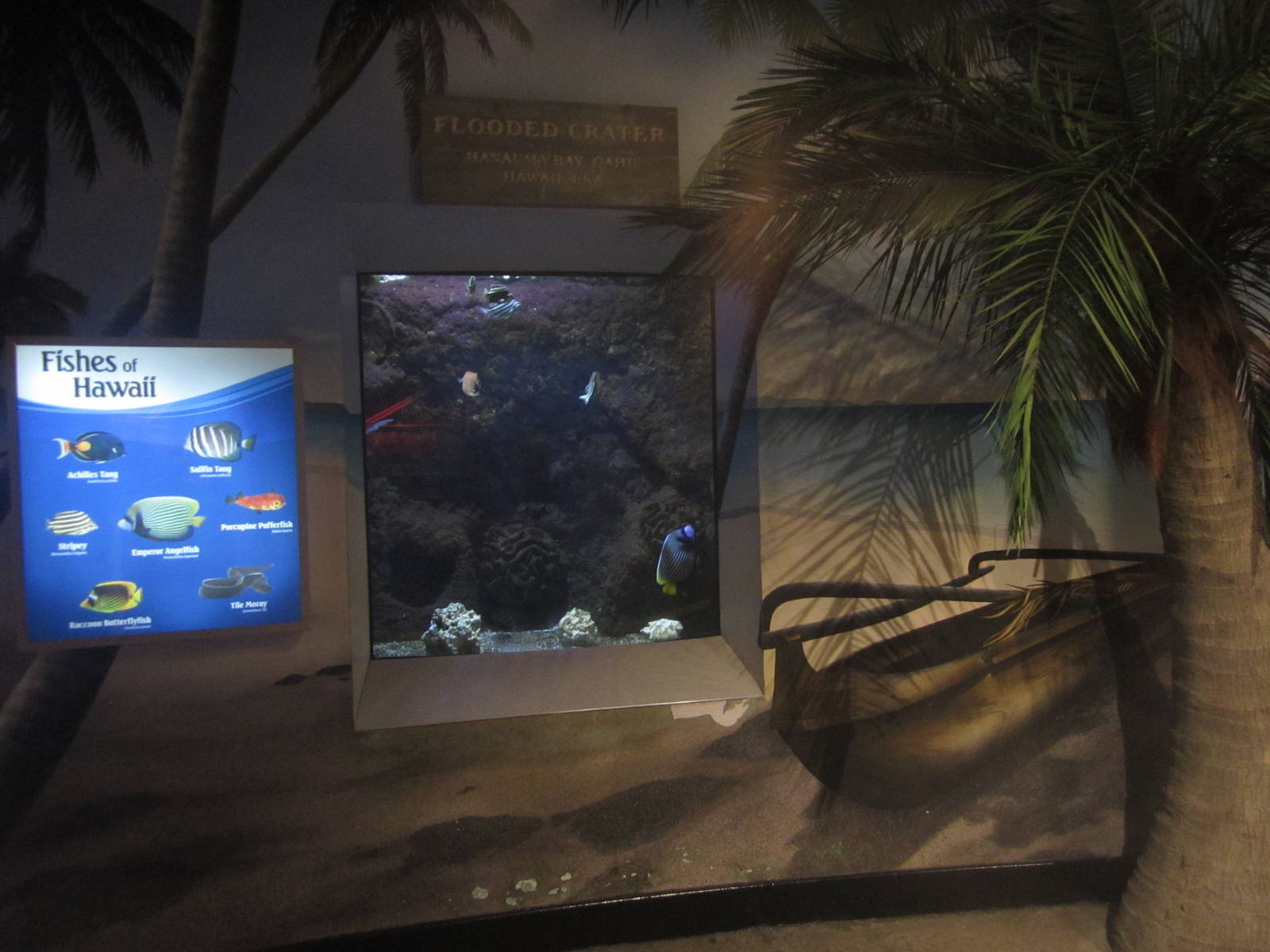 Shore Gallery - Flooded Crater, Hawaii Tank