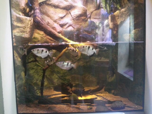 Shore Gallery-River Delta display