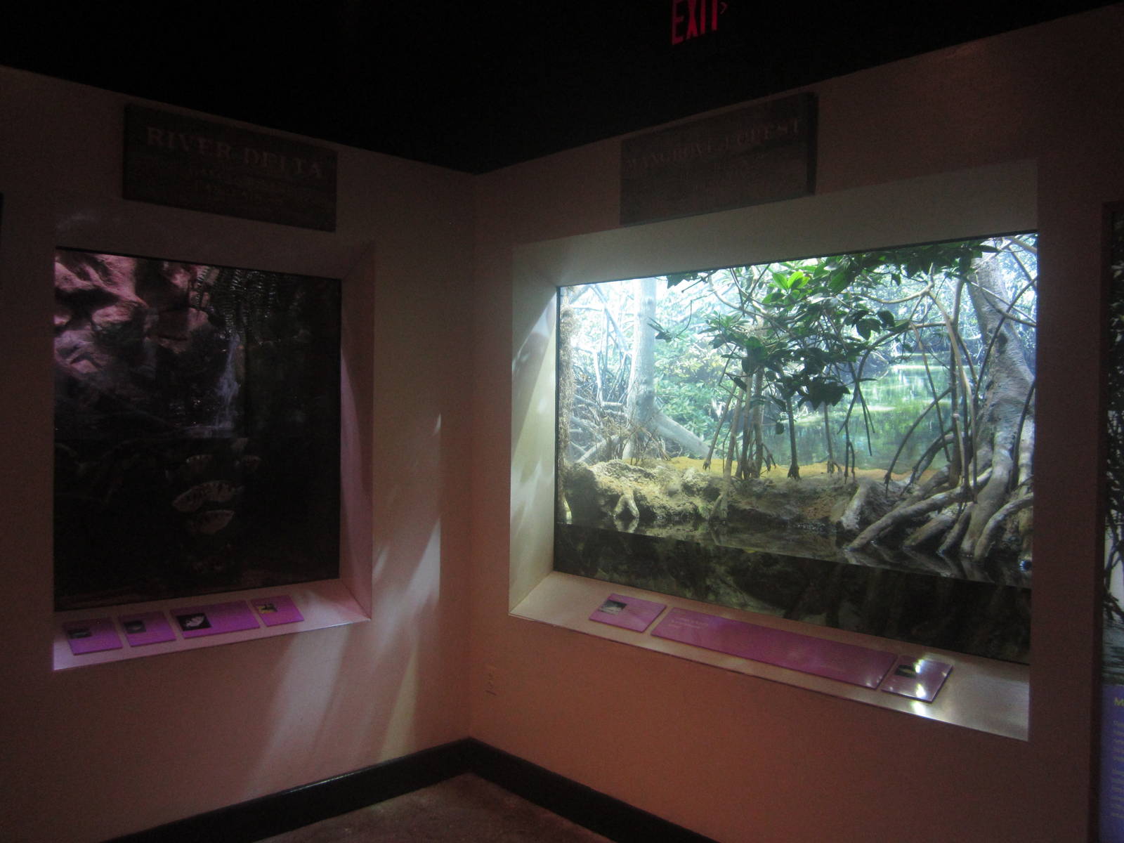 Shore Gallery - River Delta + Mangrove Forest Tanks