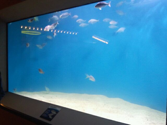 Shore Gallery-Sand Flats