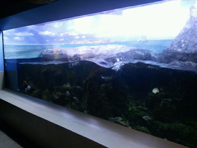 Shore Gallery-Surge Zone display