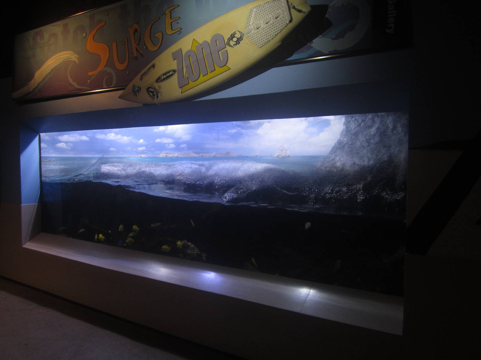 Shore Gallery - Surge Zone Tank