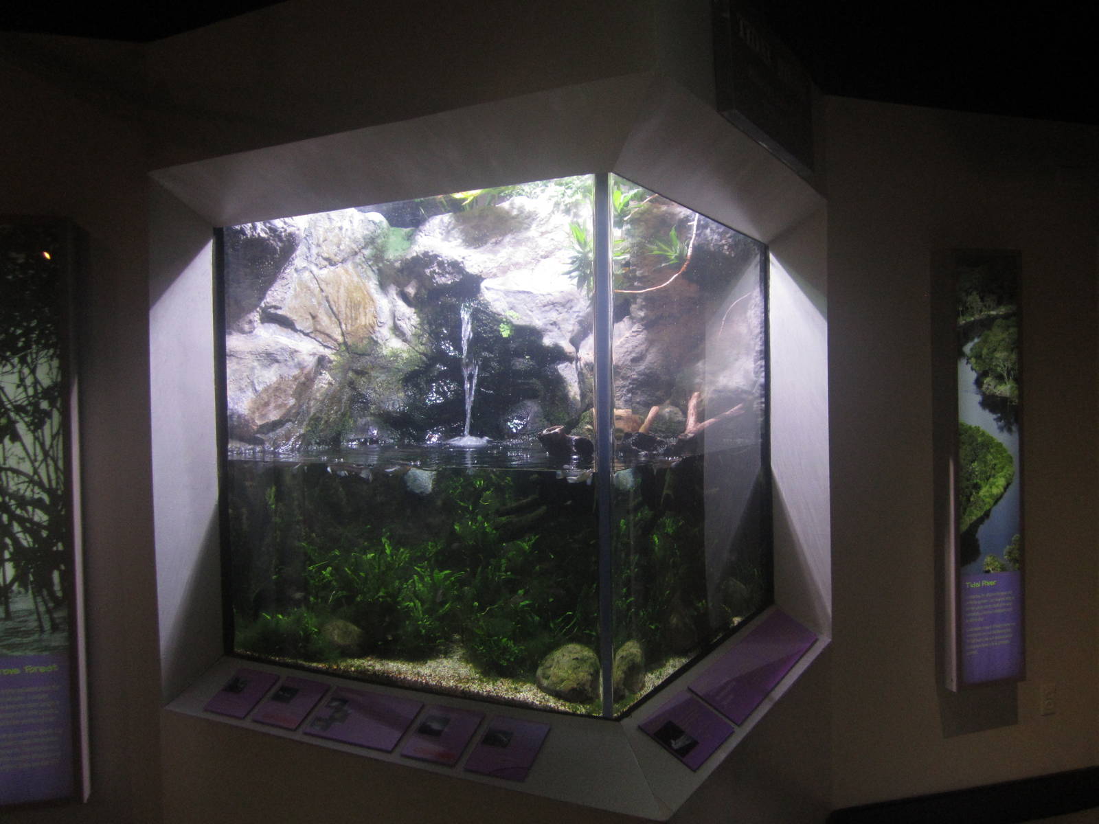 Shore Gallery - Tidal River Tank