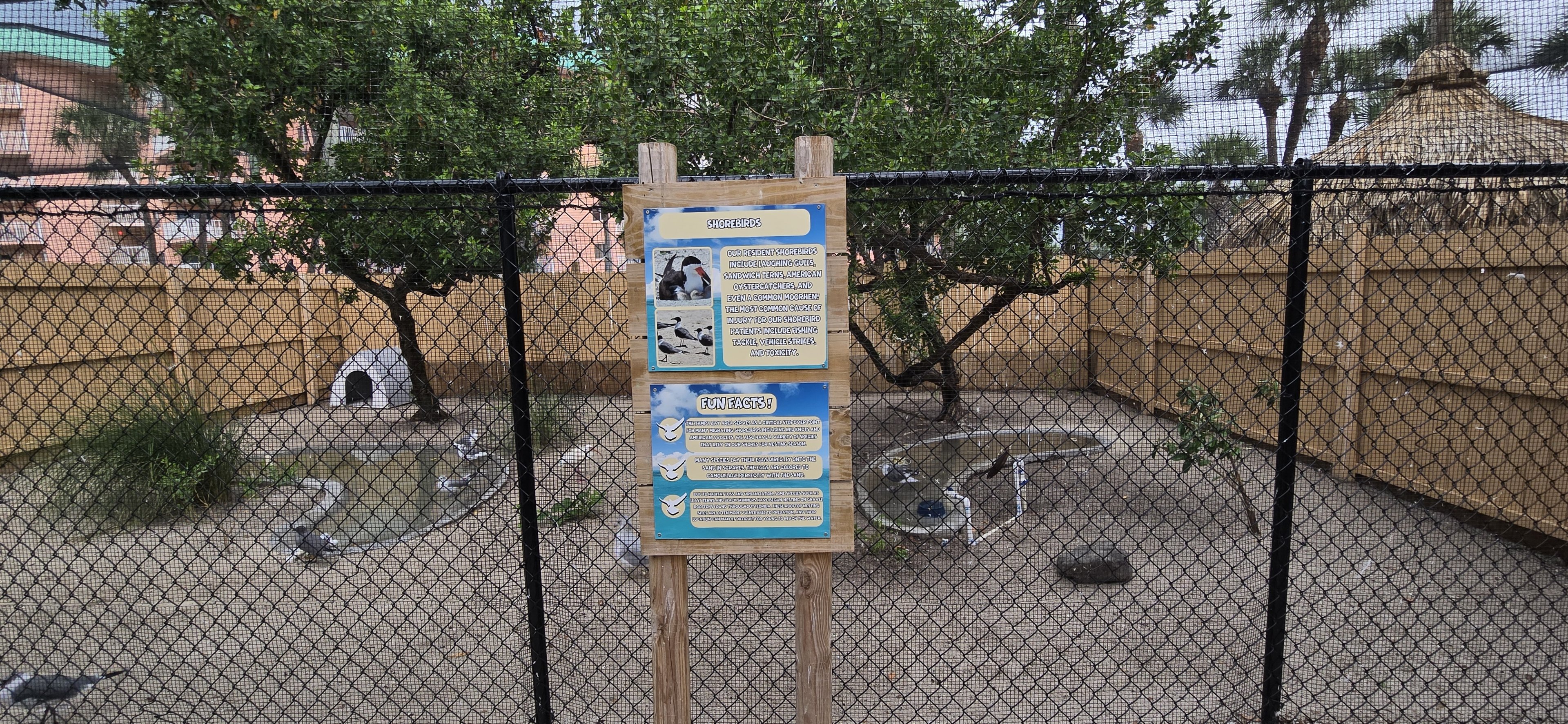 Shorebird aviary