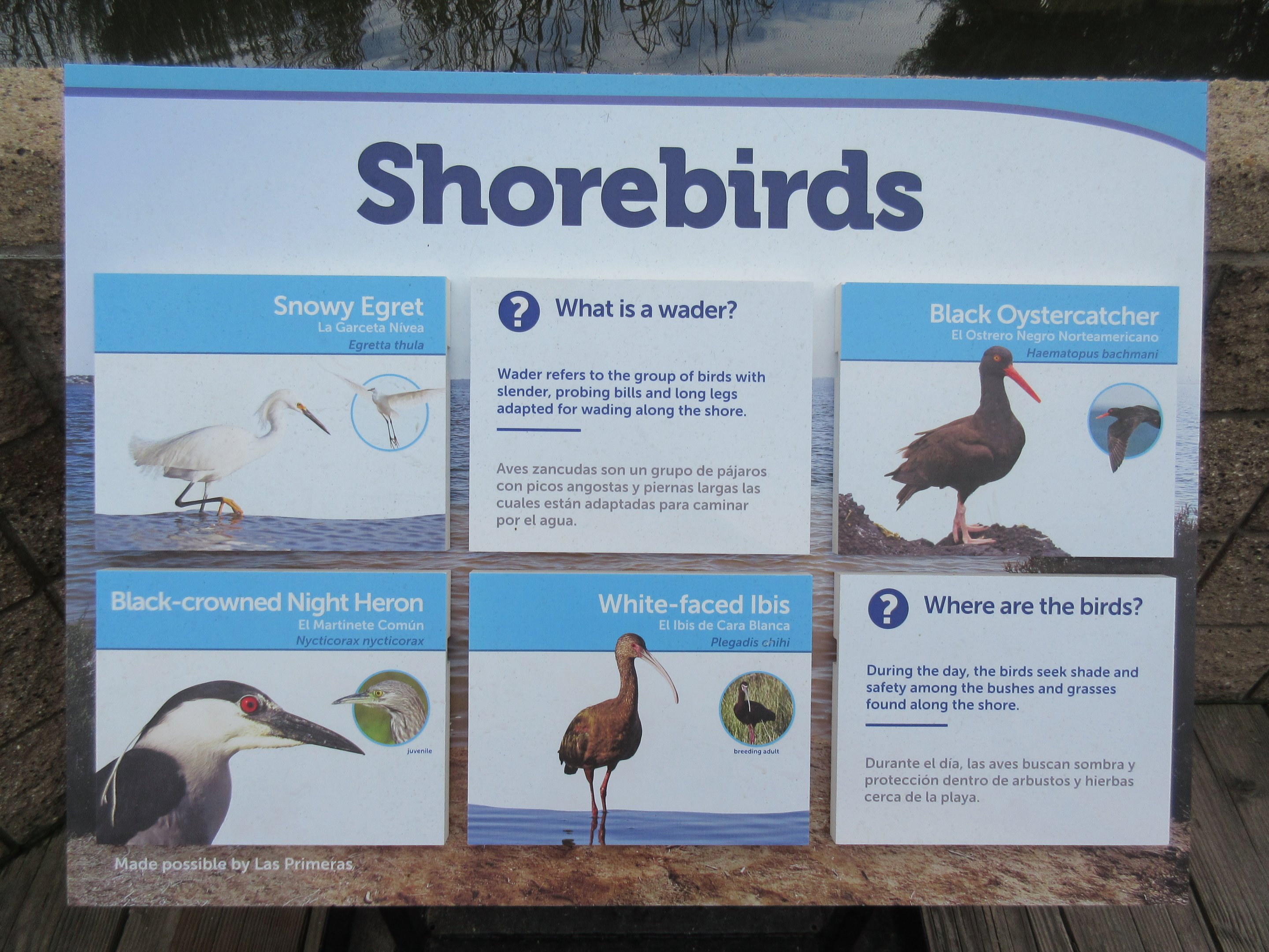 Shorebirds Aviary - Sign #1