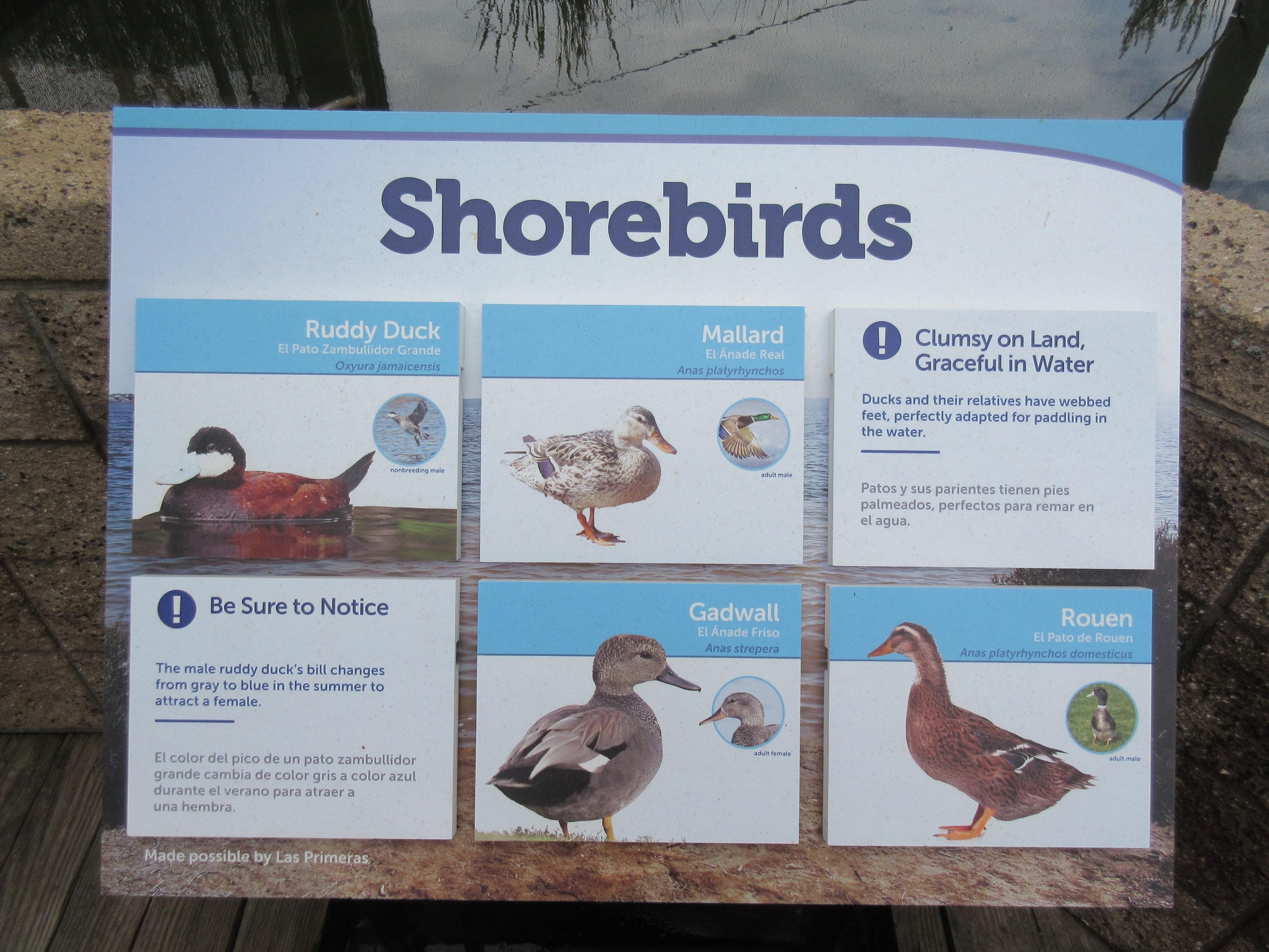 Shorebirds Aviary - Sign #2
