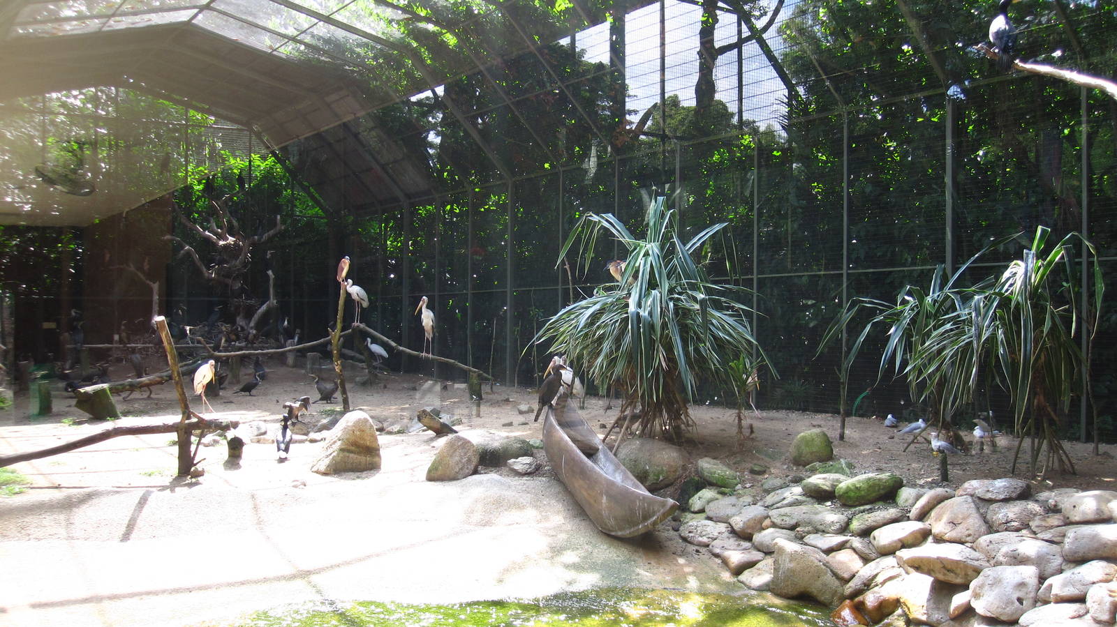 Shorebirds Aviary