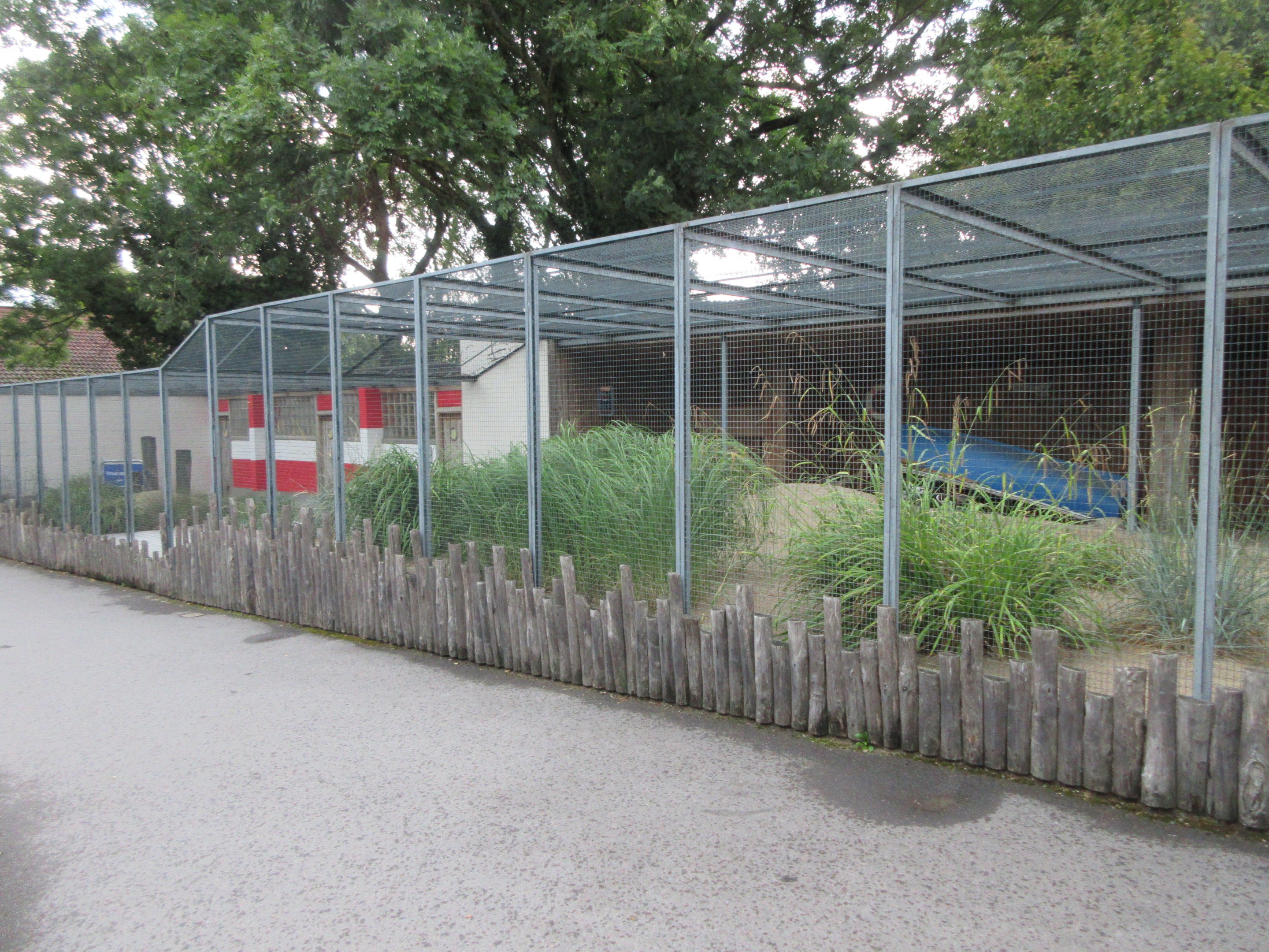 Shorebirds Aviary