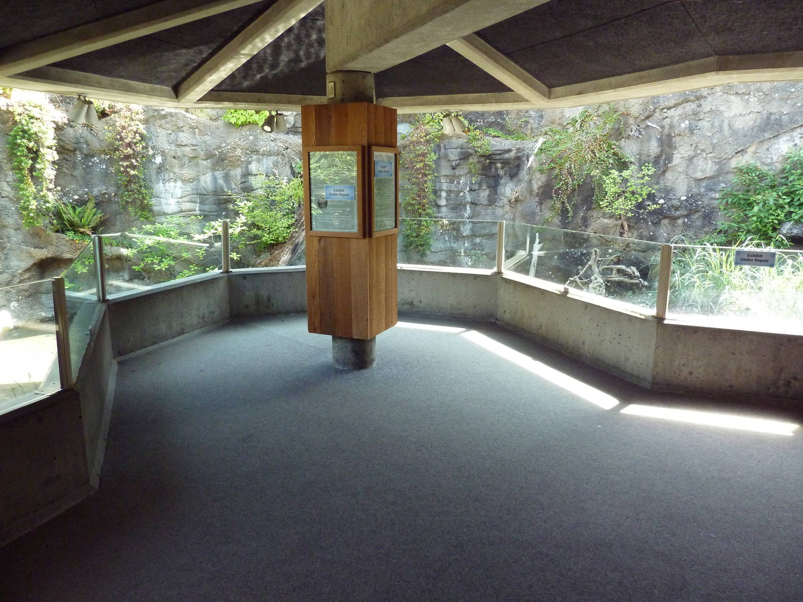 Shorebirds Exhibit (3 Species)