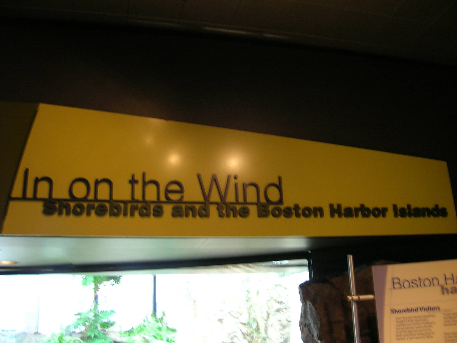 Shorebirds of Boston Harbor Exhibit
