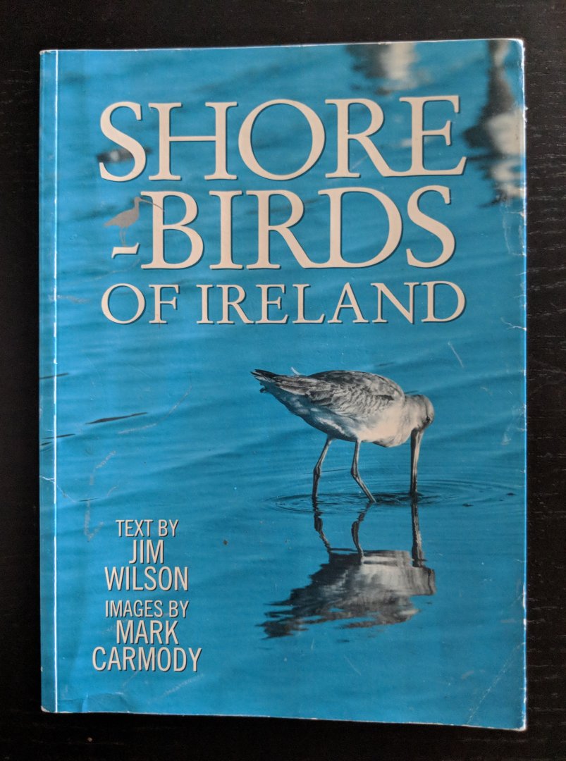 Shorebirds of Ireland