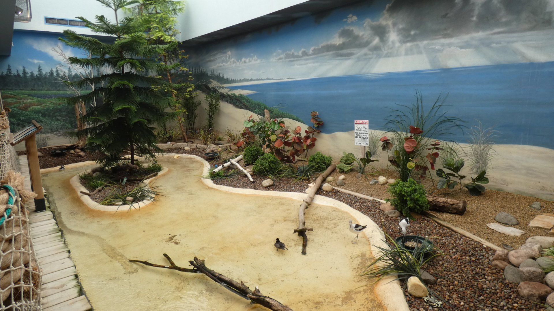 Shoreline, Aviary - Aug. 2021