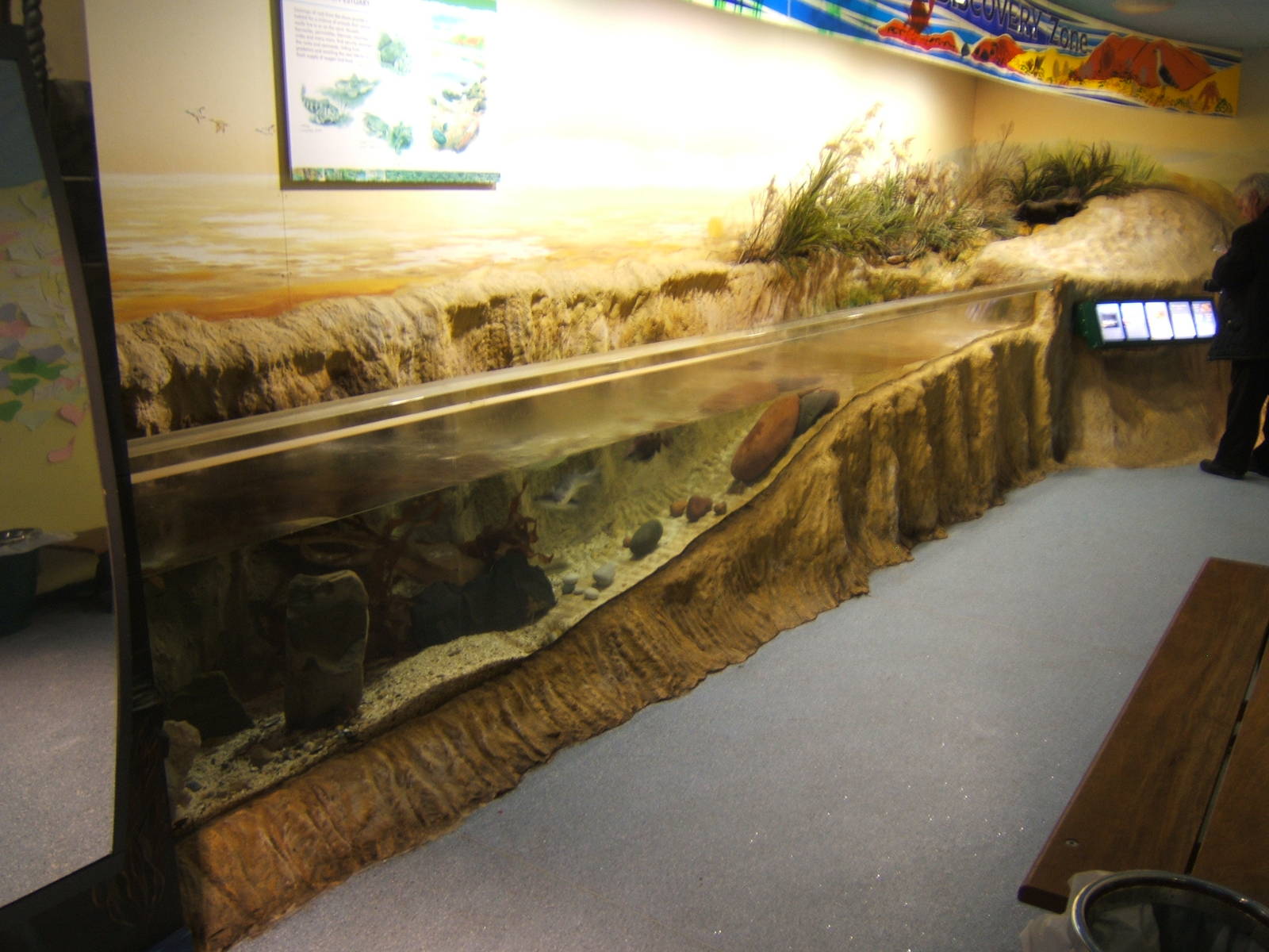 Shoreline exhibit