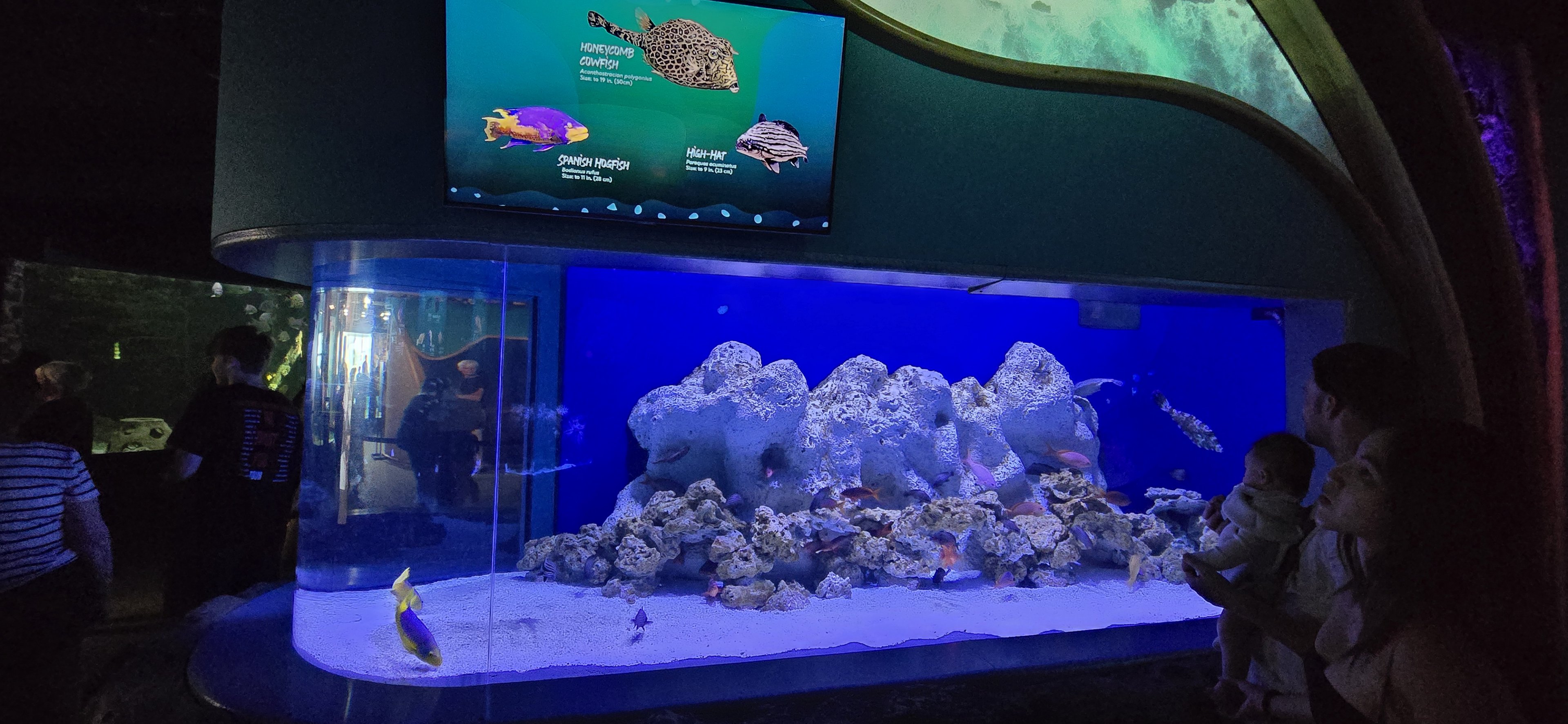 Shorelines - Former lobster tank