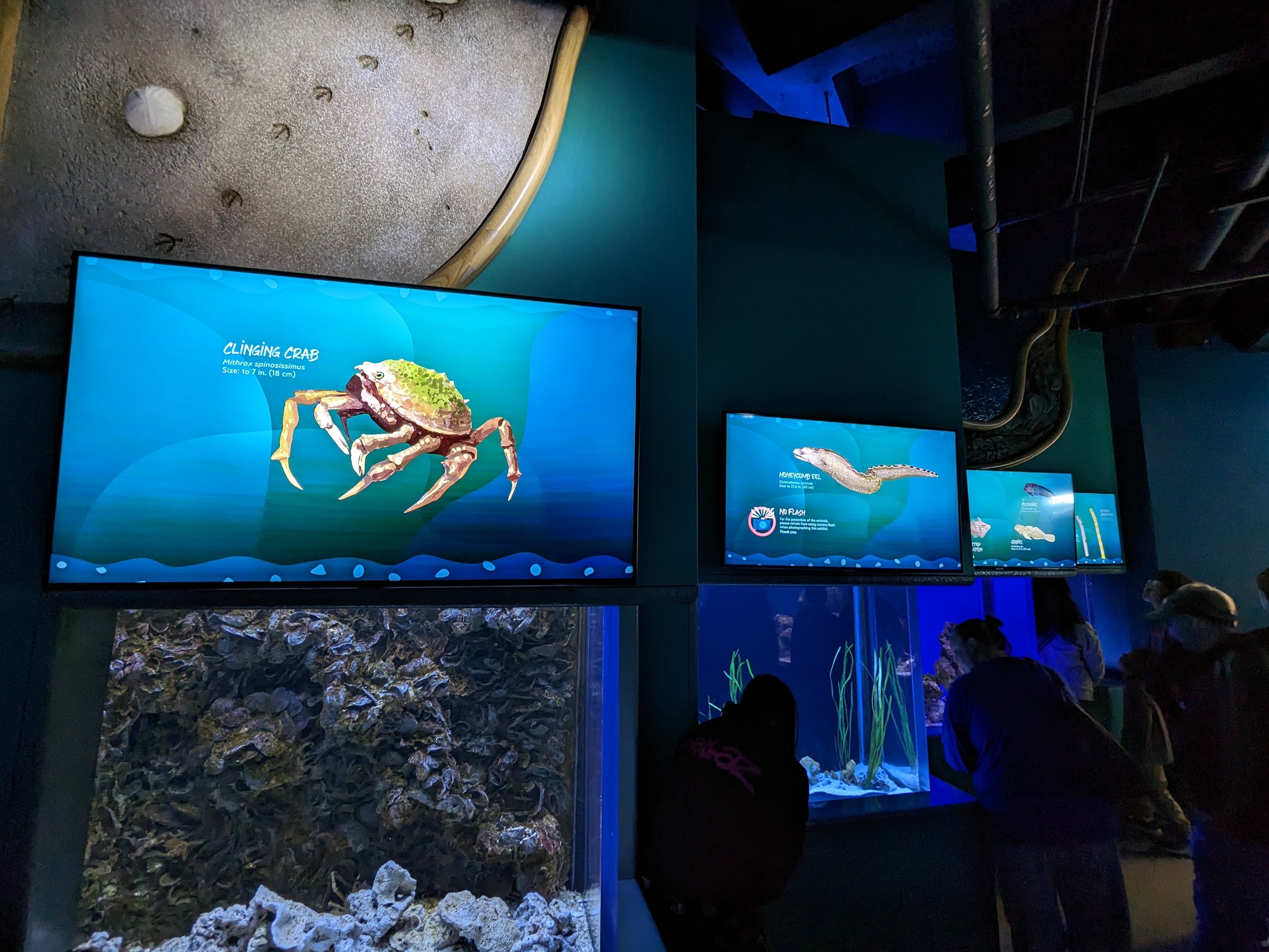 Shorelines - new digital signage