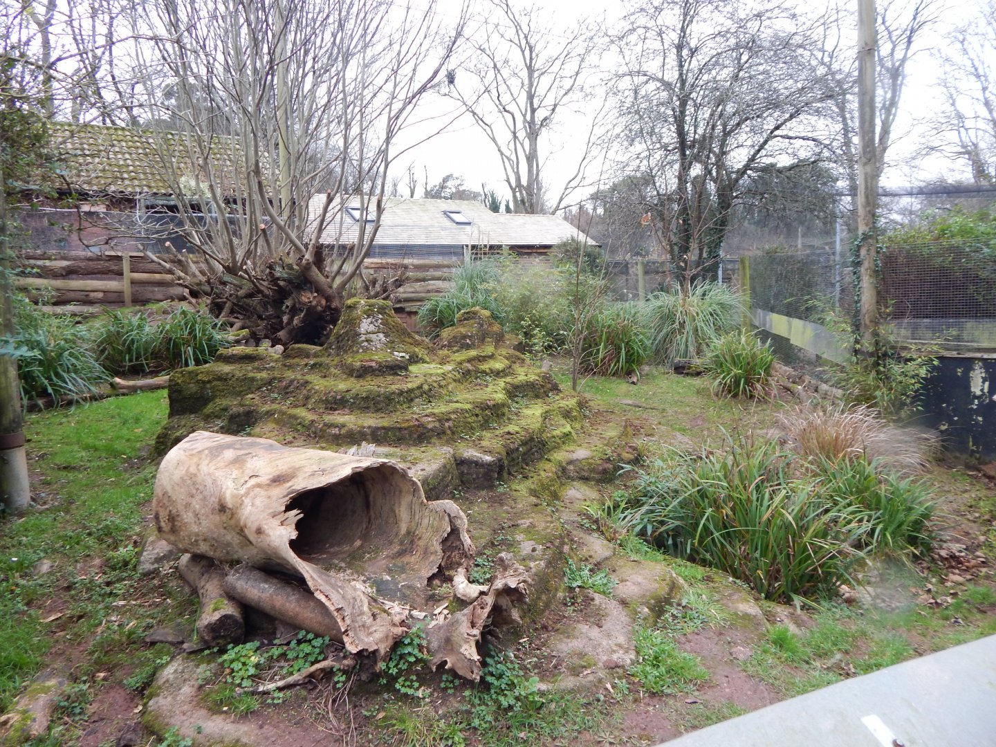 Short-beaked echidna and Long-nosed potoroo exhibit 111224