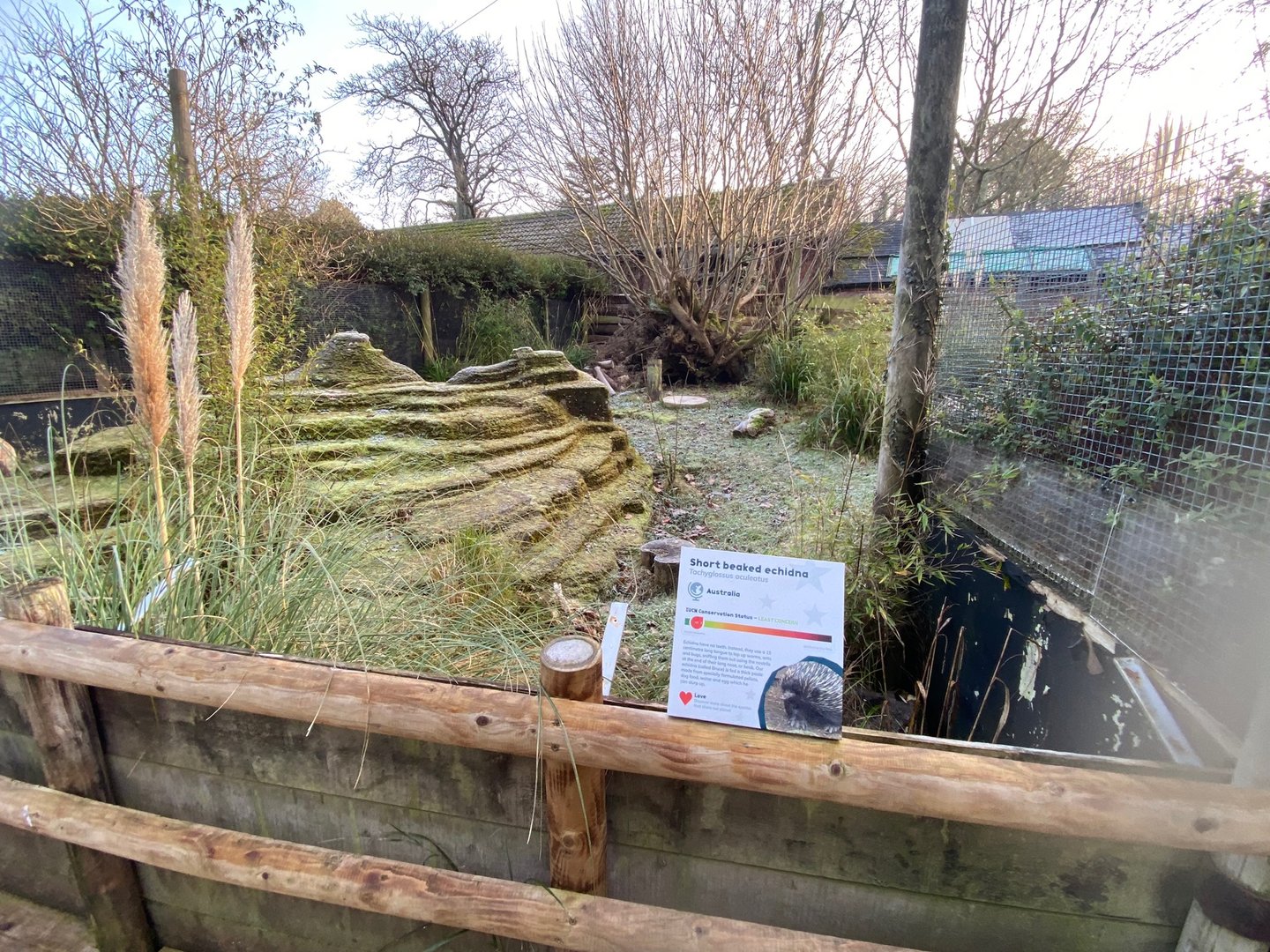 Short-beaked echidna enclosure 161222