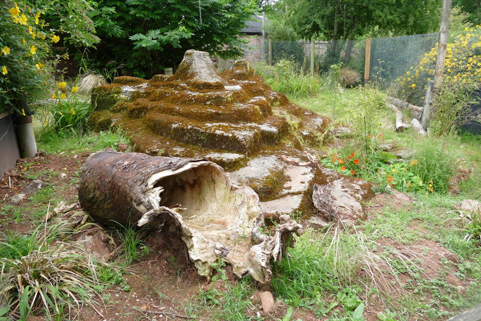 Short-beaked echidna enclosure, July 2020