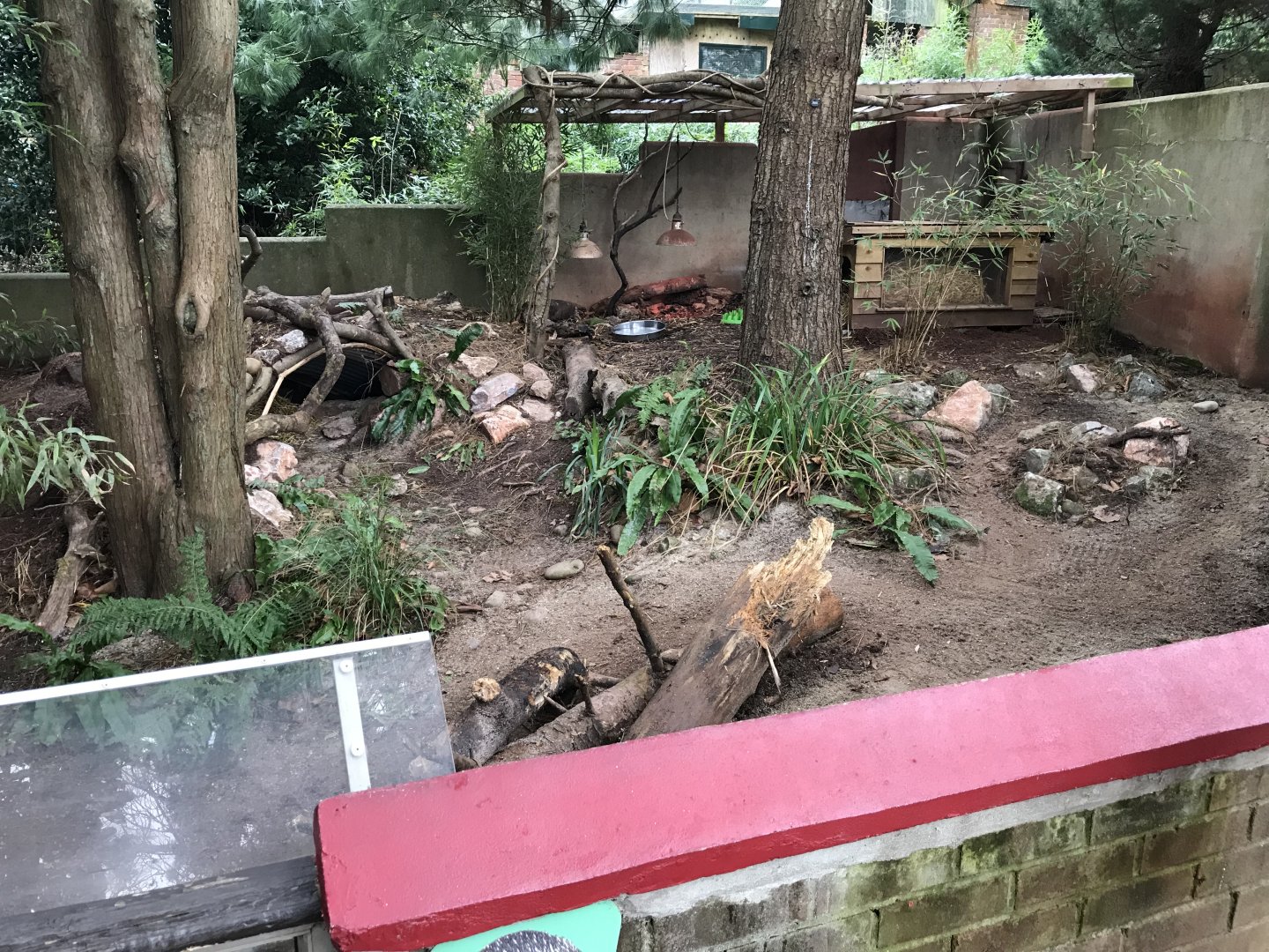 Short-beaked echidna exhibit 050119