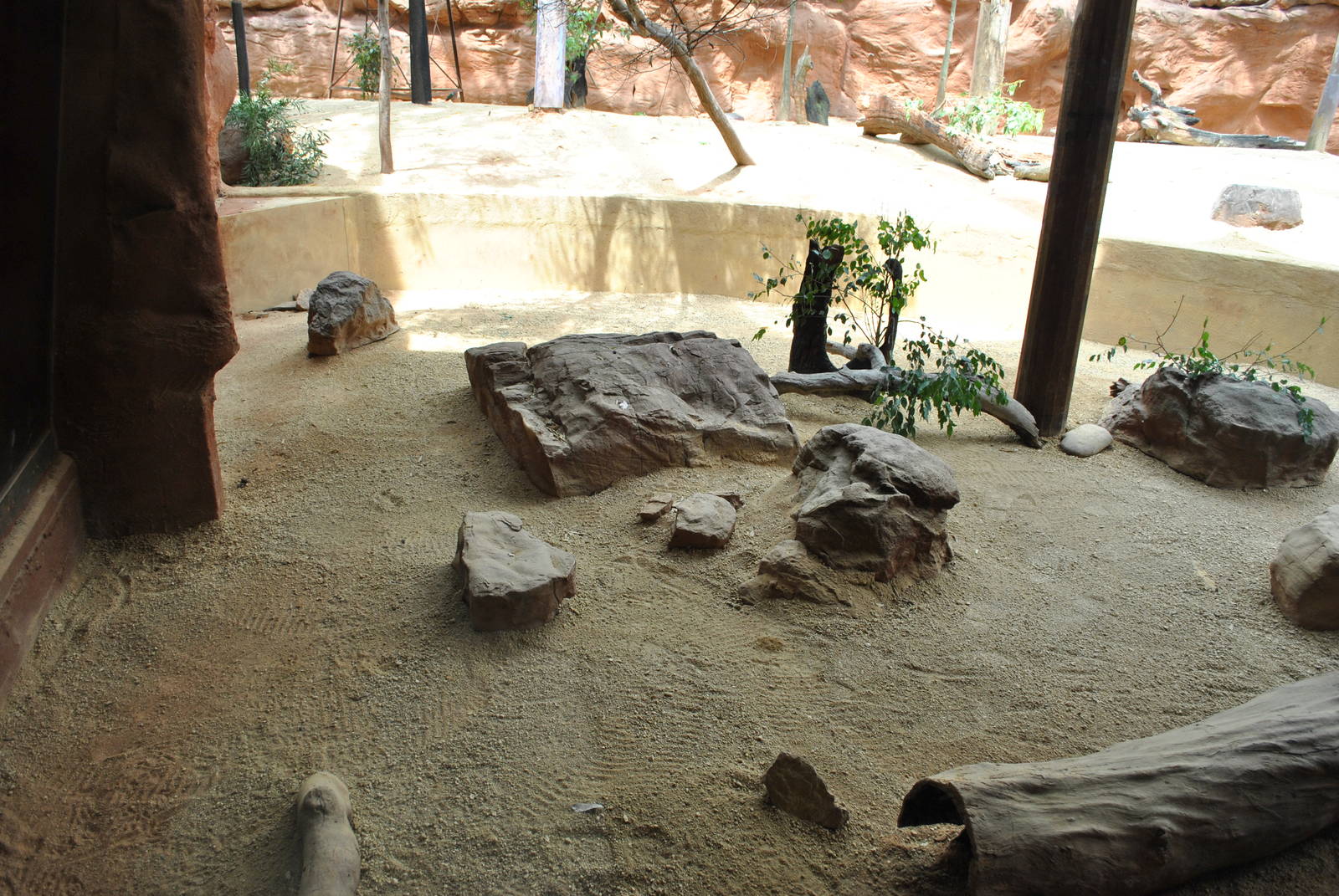 Short-Beaked Echidna Exhibit 11/2012