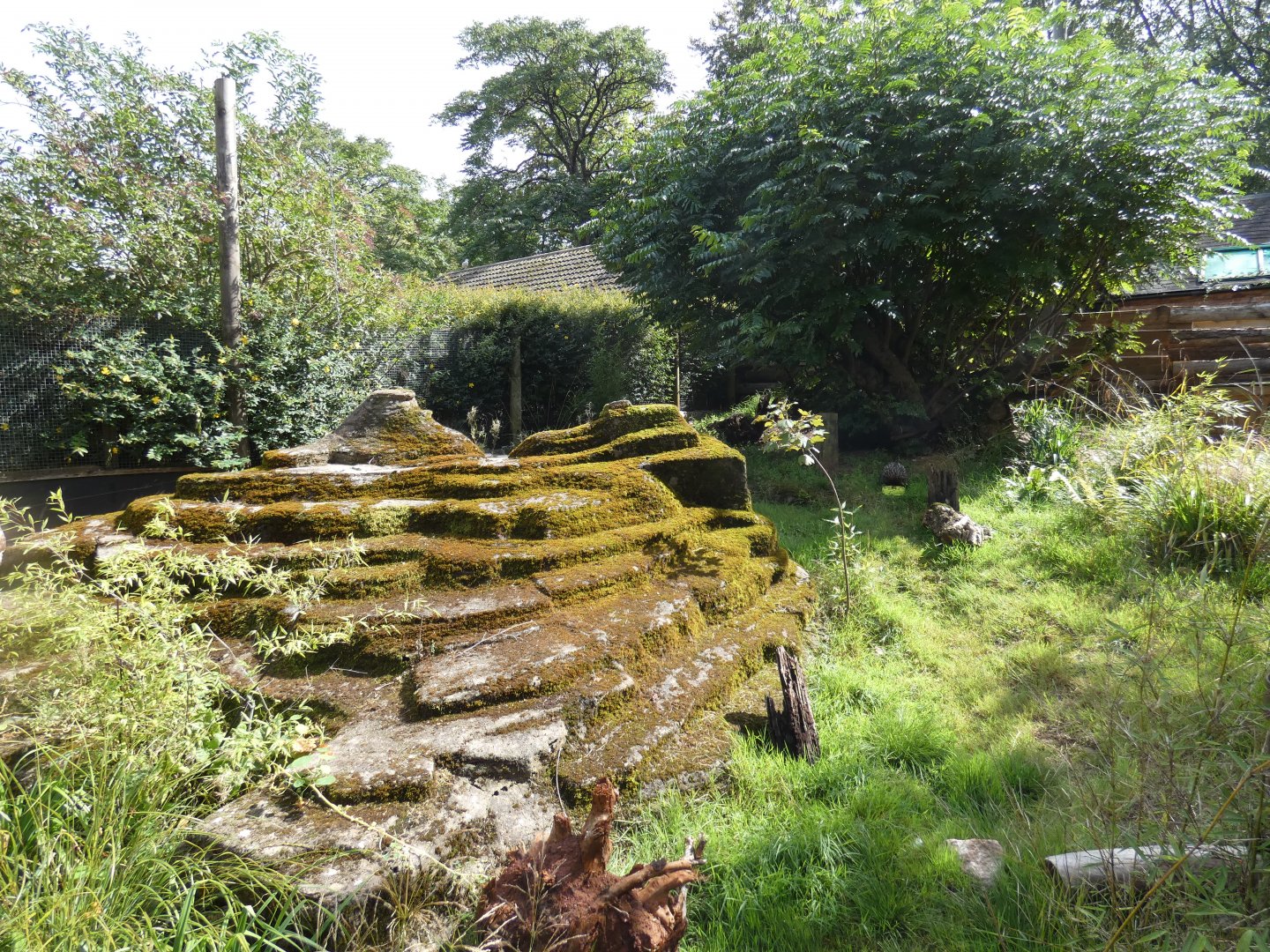 Short-beaked Echidna outdoor enclosure