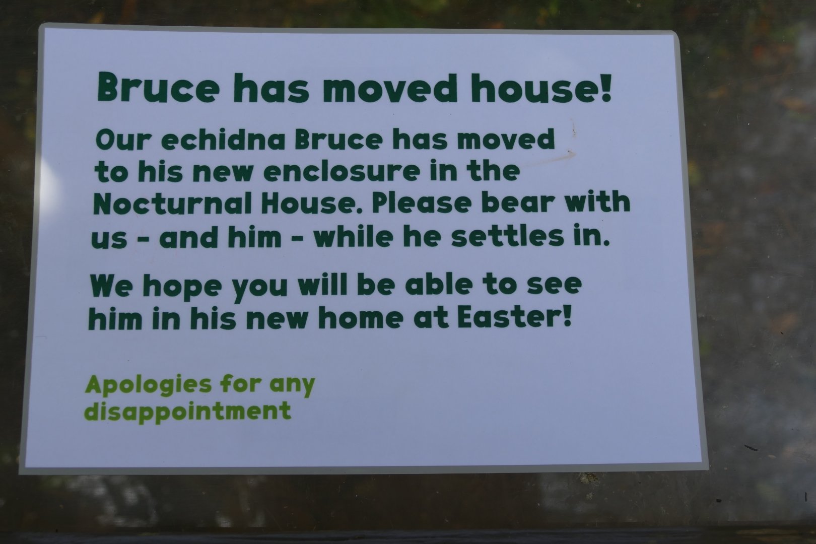 Short-beaked echidna sign, March 2019