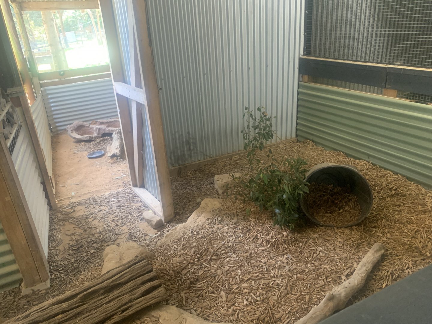 Short-beaked Echidna (unsighted) exhibit inside the Barn (has outdoor area too access route to seen in this photo)