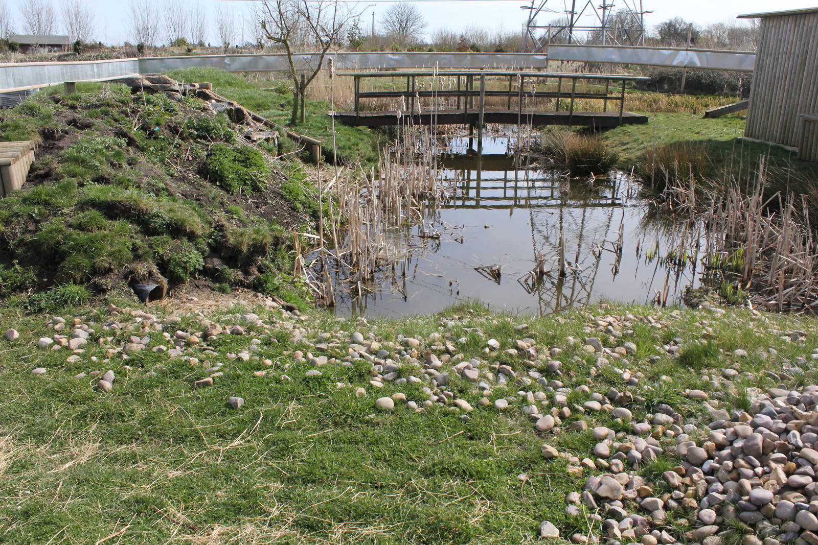 Short clawed otter enclosure. 2-4-15