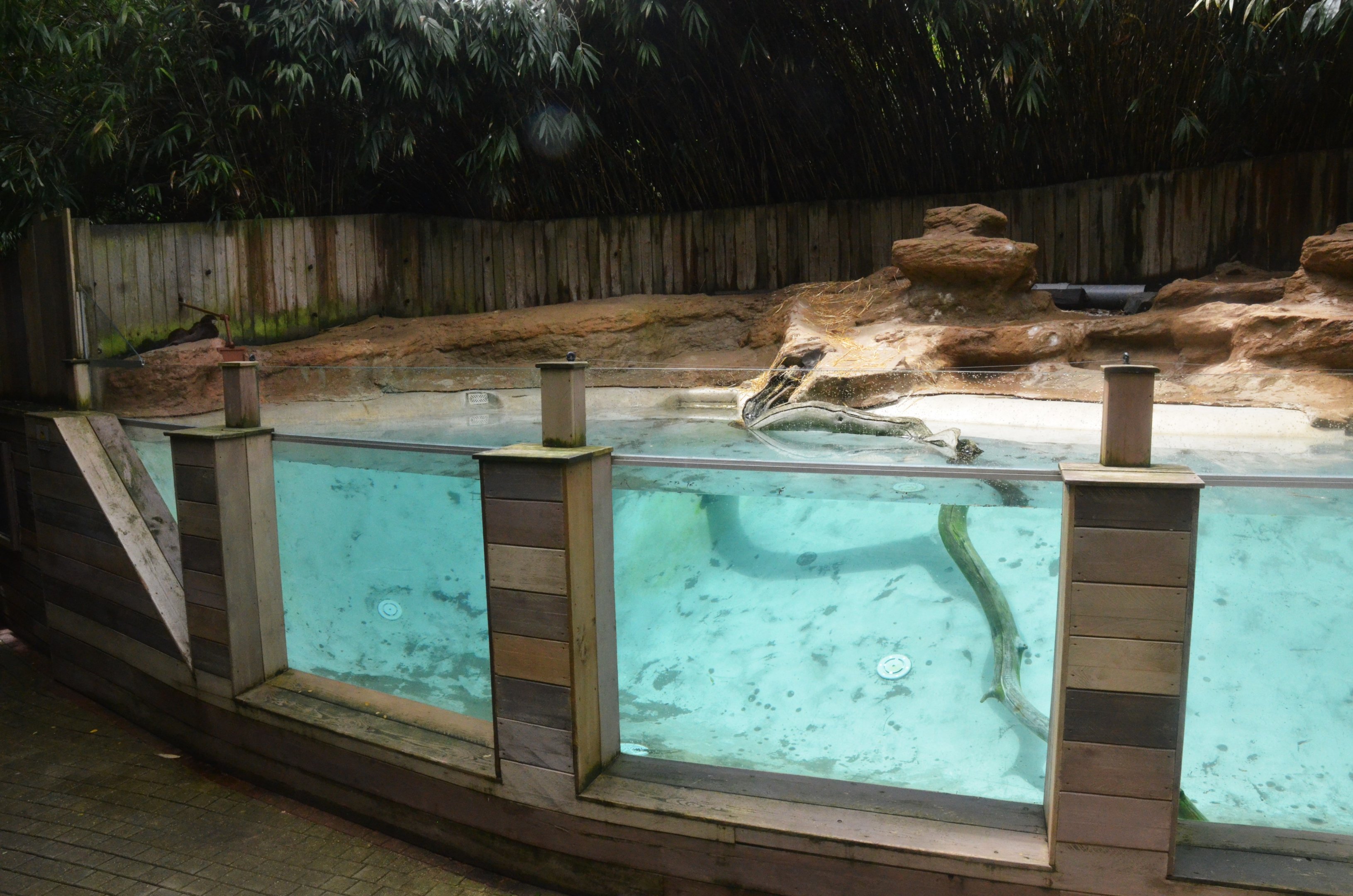 Short-clawed Otter Enclosure at La Flèche, 11/06/18