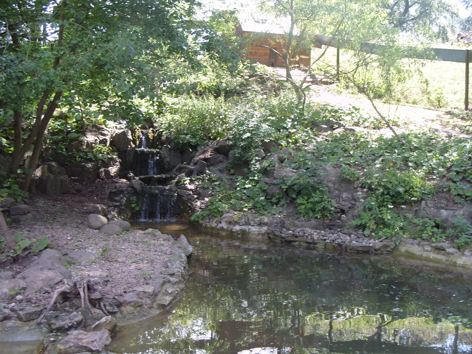 SHORT CLAWED OTTER ENCLOSURE