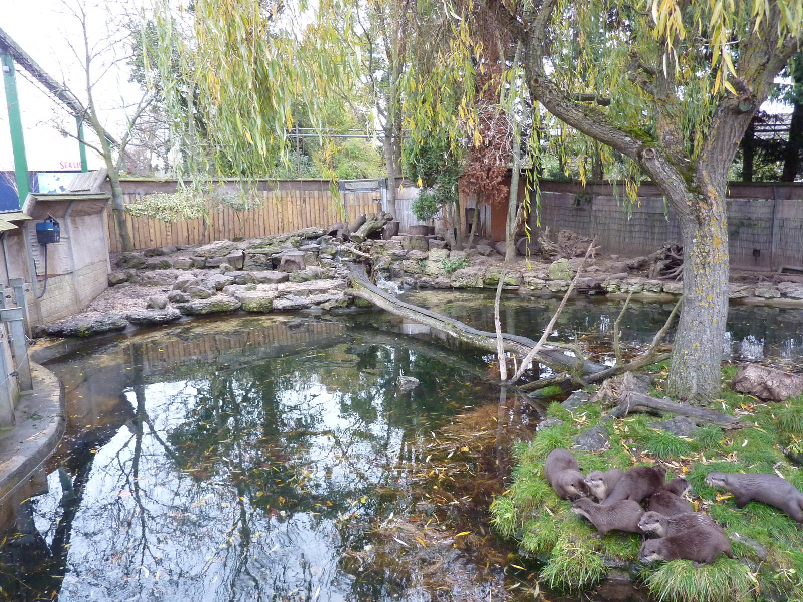 Short-clawed otter enclosure