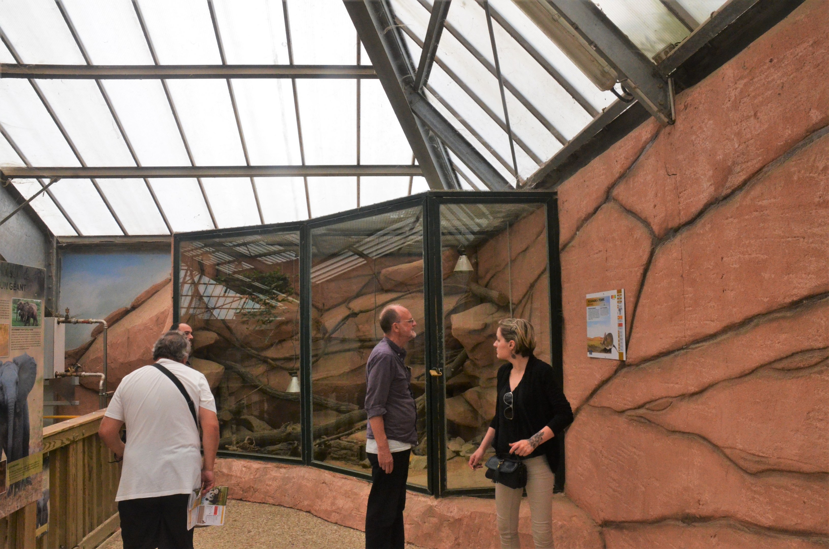 Short-eared Elephant Shrew Enclosure at Beauval, 12/06/18