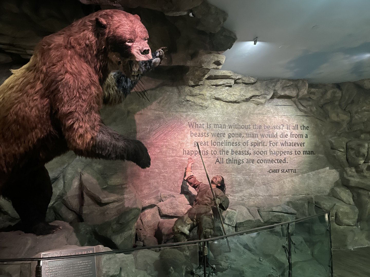 Short-faced Bear Replica